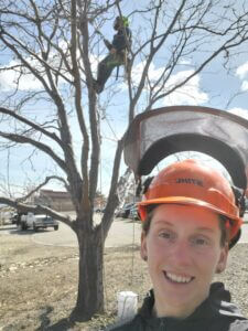 Removing a tree in Nampa Idaho, Emergency Tree Removal,